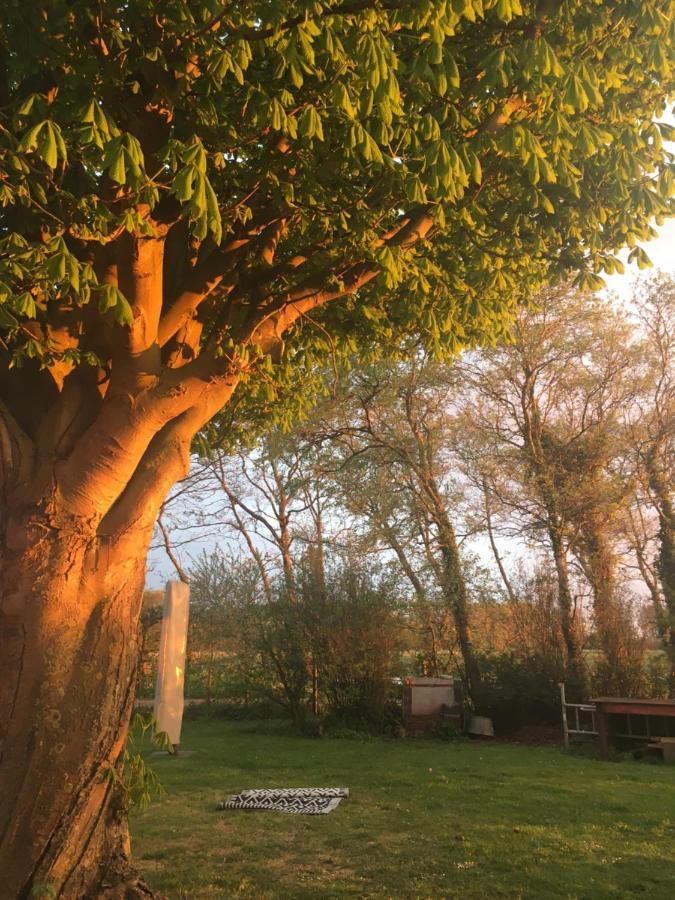 Lowlander Bnb Heemskerk Esterno foto