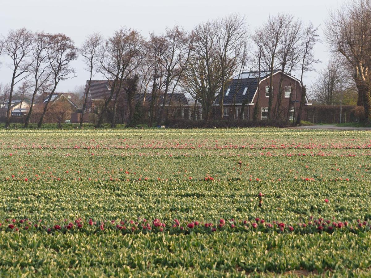 Lowlander Bnb Heemskerk Esterno foto