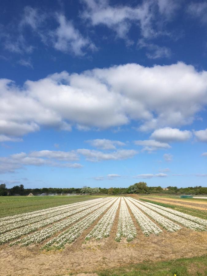 Lowlander Bnb Heemskerk Esterno foto
