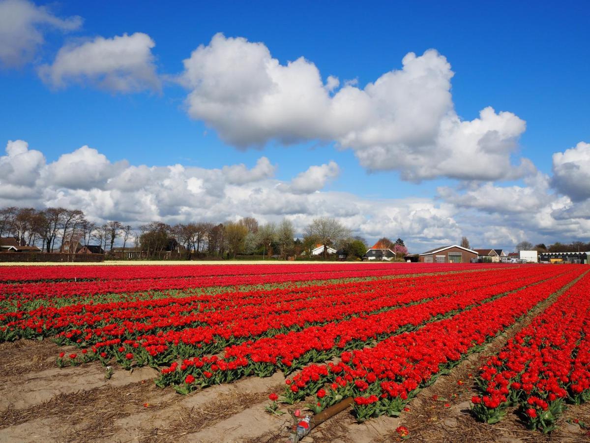 Lowlander Bnb Heemskerk Esterno foto